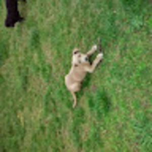 Meet your Posher, Erica